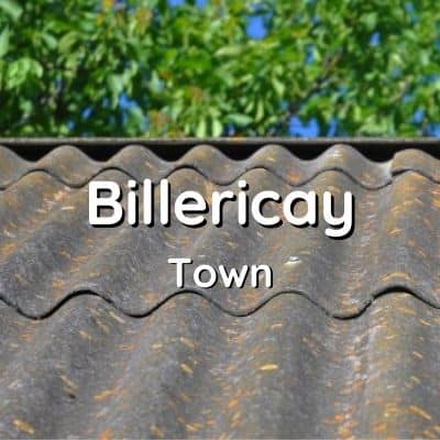 Billericay asbestos survey services