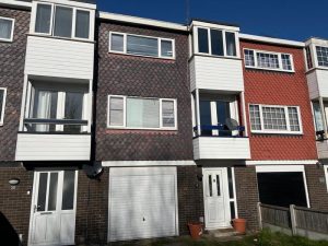 management survey thurrock