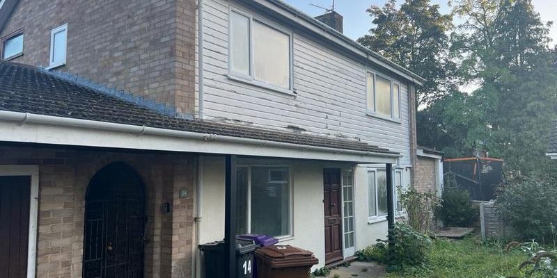rainham asbestos surveys