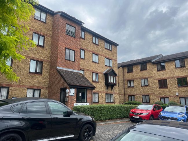 domestic management abestos survey chelmsford essex