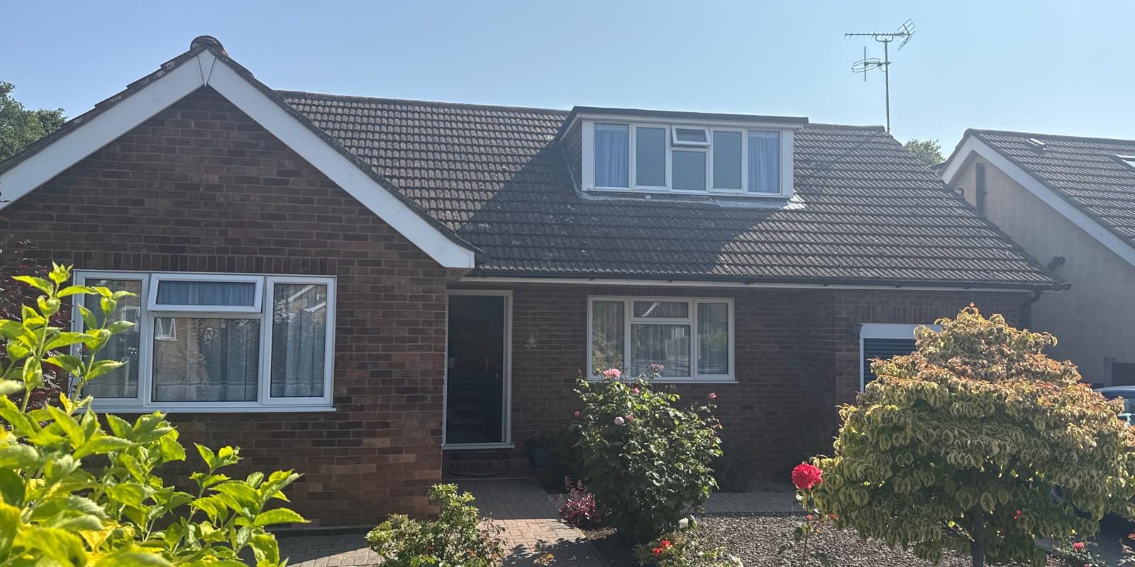 asbestos domestic management survey colchester essex
