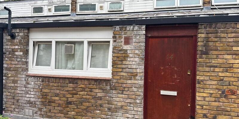 asbestos domestic management survey south west london