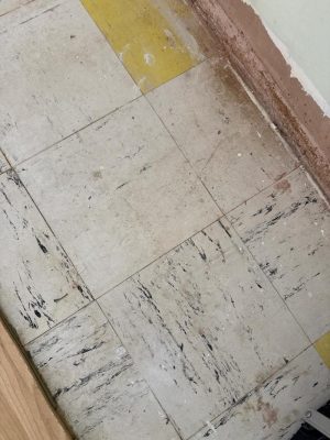 asbestos management survey 2 bedroom bungalow corringham essex 2