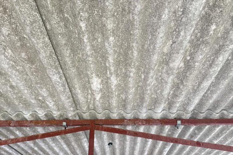 asbestos management survey bungalow in cambridge 4