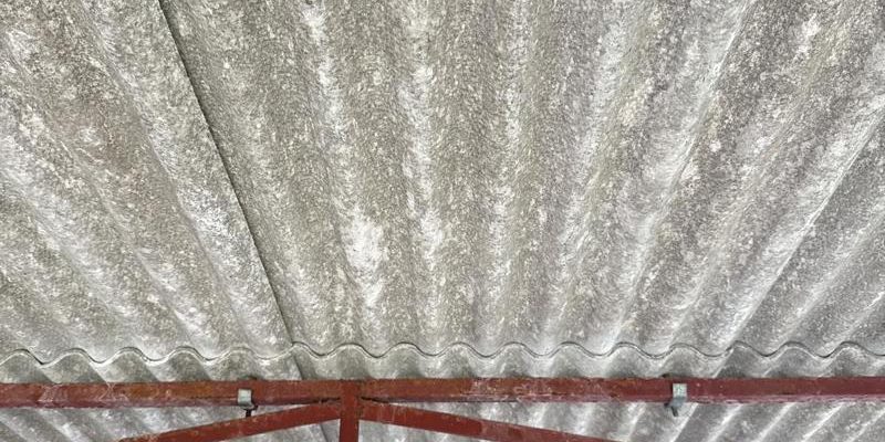 asbestos management survey bungalow in cambridge 4