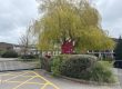 asbestos management survey primary school grays essex