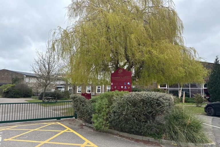 asbestos management survey primary school grays essex