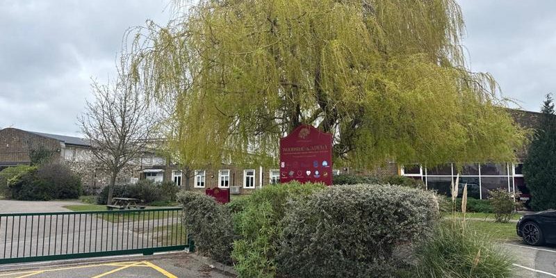 asbestos management survey primary school grays essex