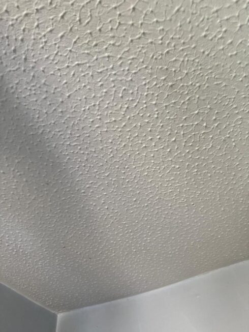 asbestos management survey chelmsford essex 1